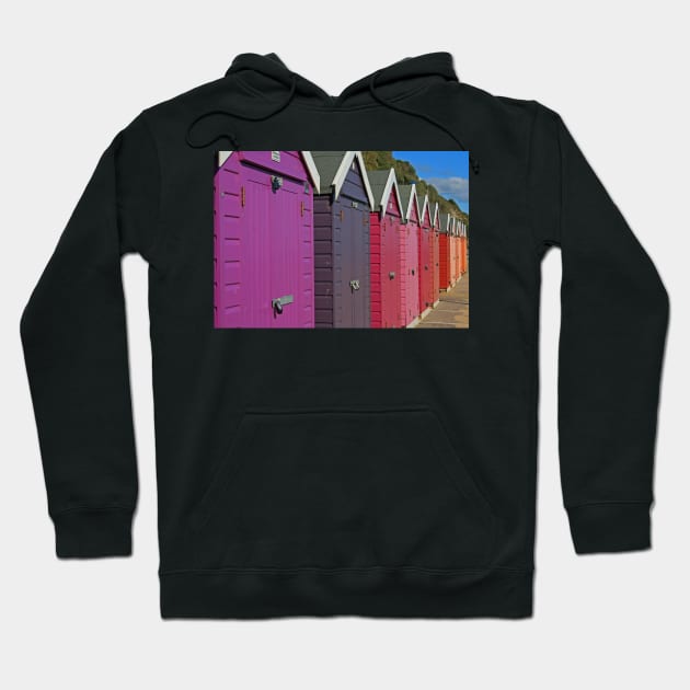 Sheds Of Any Colour But Grey Hoodie by RedHillDigital